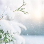 Mike Winter vol liefde
