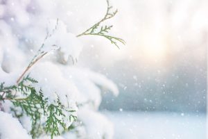 Mike Winter vol liefde