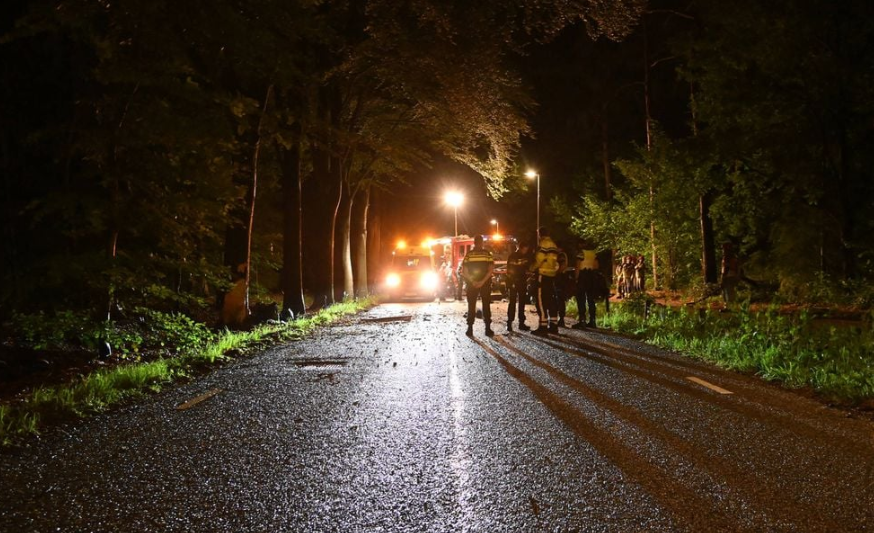 Automobilist (77) overleden na botsing tegen boom