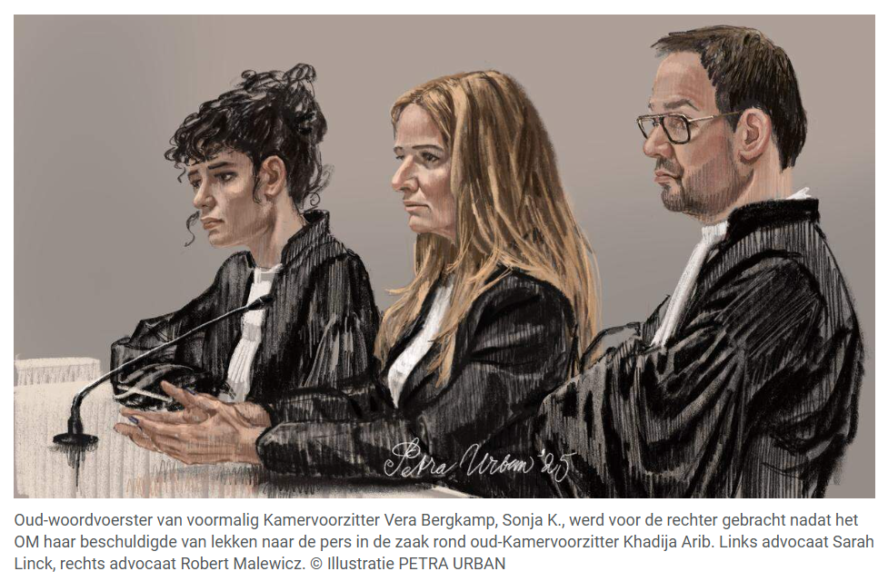 Bergkamp in de rechtbank tekening