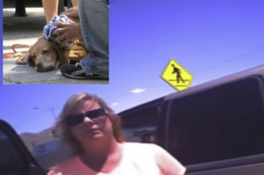 Wát een wake-up call: Politieagent laat vrouw in bloedhete auto zitten om te voelen wat haar hond doormaakte!