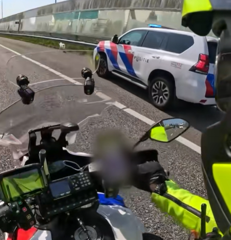 Heldhaftige redding op camera: loslopende hond gered door politie op snelweg
