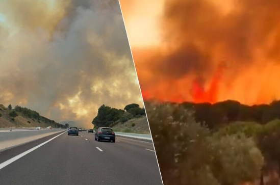 Massive bosbrand verwoest honderden hectaren natuur in Zuid-Frankrijk