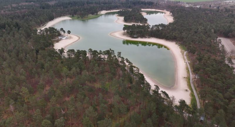 Een meer in het bos