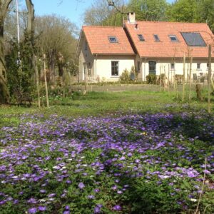 Studio in Voorne aan Zee