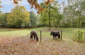 Woning aan de Oudvensestraat te Mierlo