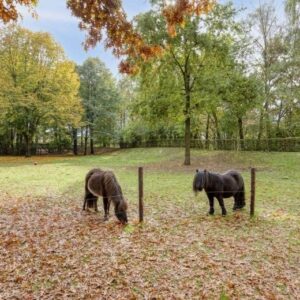 Woning aan de Oudvensestraat te Mierlo