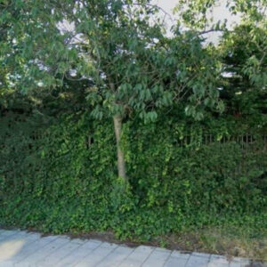 Woonhuis in Zwijndrecht