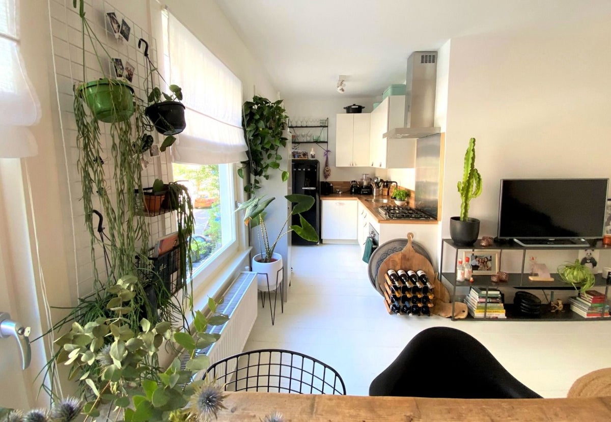 appartement Barentszstraat Amsterdam