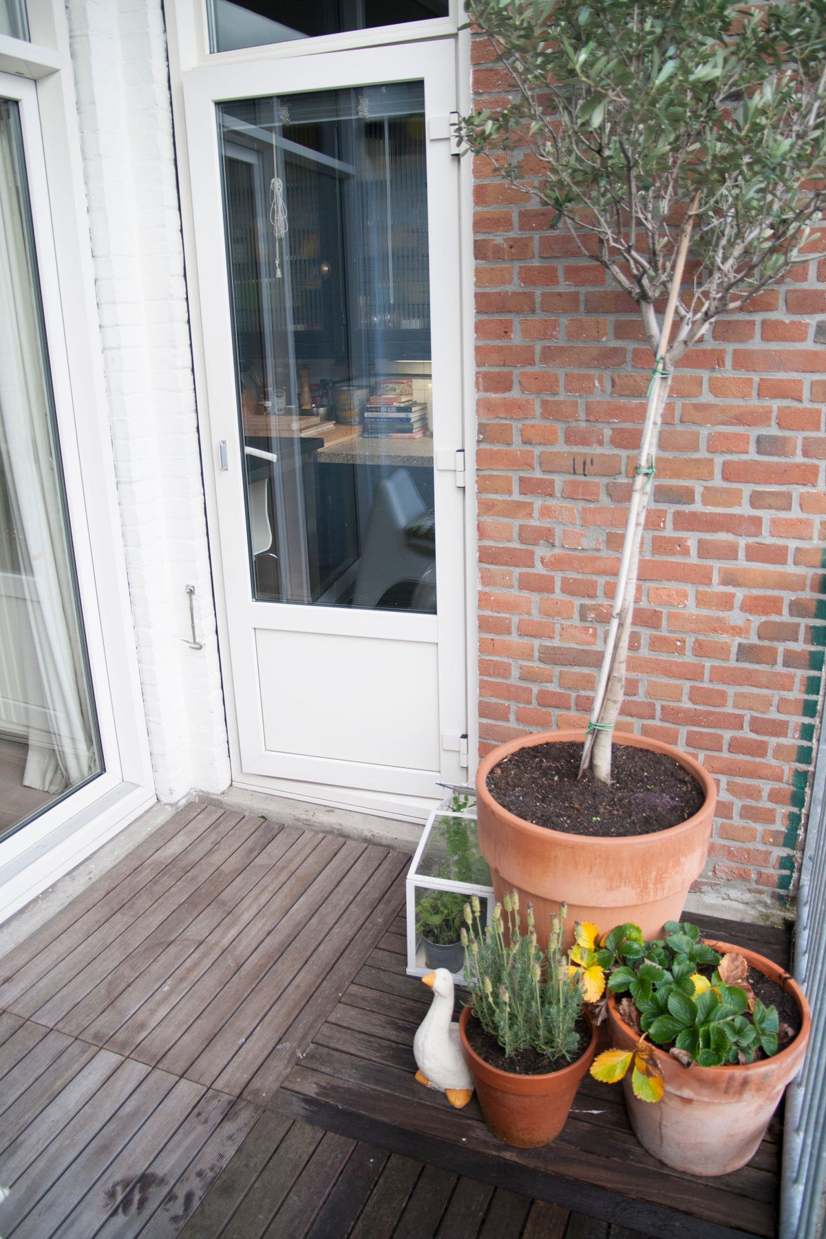 appartement Berberisstraat Den Haag - Afbeelding 4