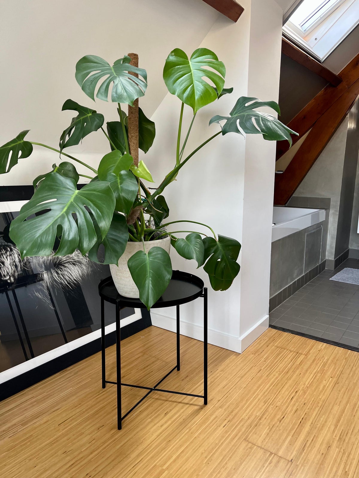 appartement Boergoensevliet Rotterdam - Afbeelding 3