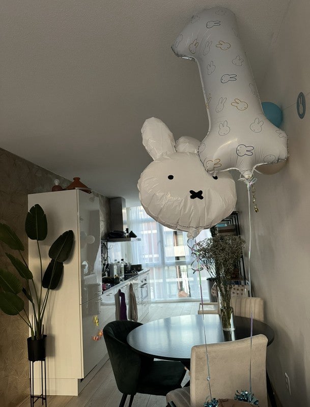 appartement Burgemeester Röellstraat Amsterdam - Afbeelding 5