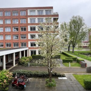 appartement Burghsluissingel Rotterdam