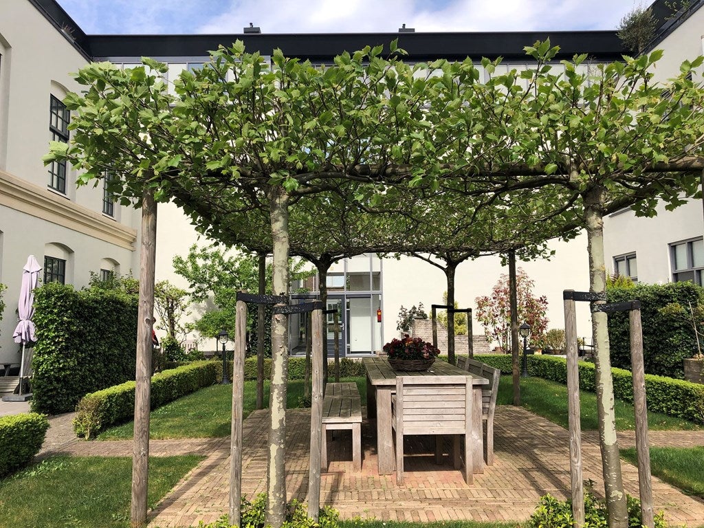 appartement Clarissenstraat Brielle - Afbeelding 5