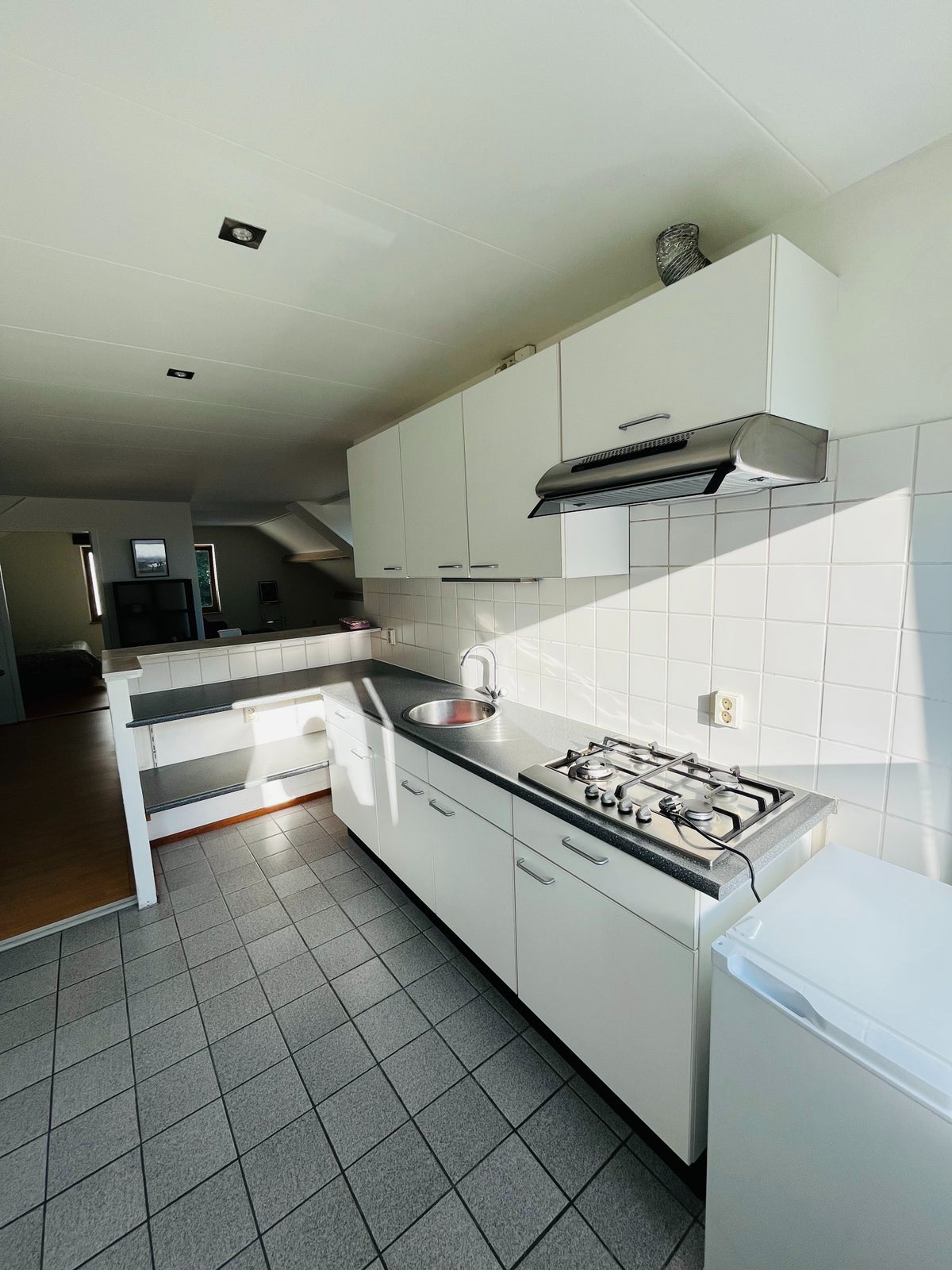 appartement Clavecymbelstraat Maastricht - Afbeelding 4