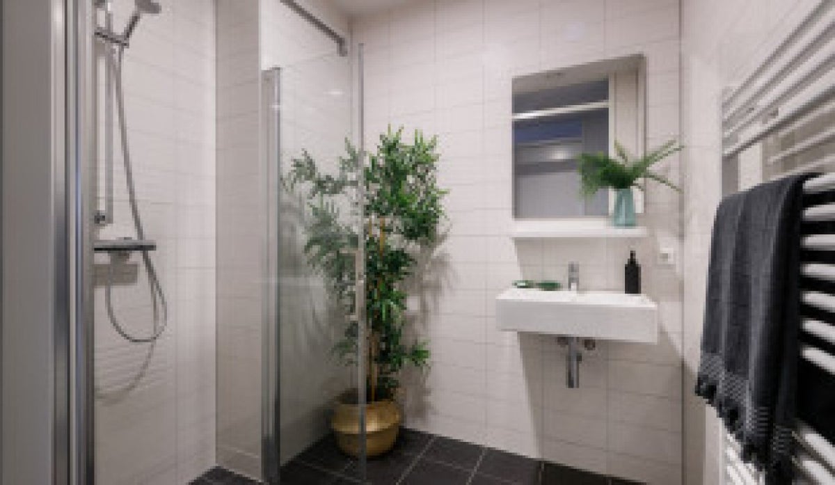 appartement Delflandlaan Amsterdam - Afbeelding 5