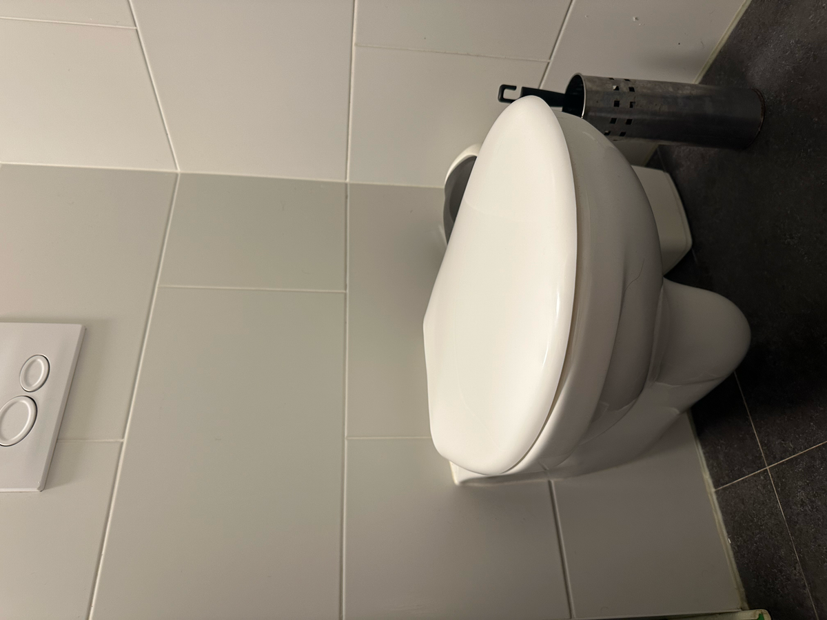 appartement Diergaardesingel Rotterdam - Afbeelding 3