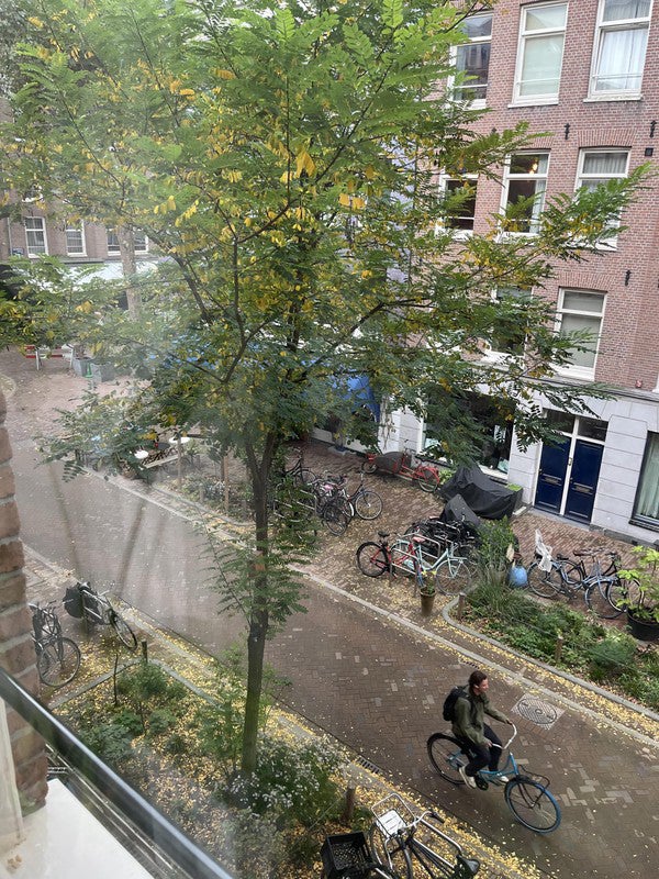 appartement Frans Halsstraat Amsterdam - Afbeelding 2