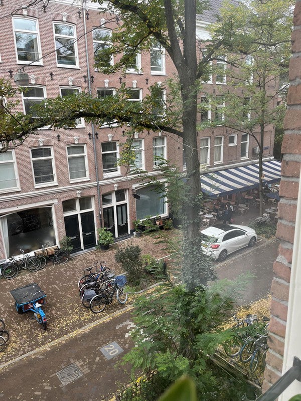 appartement Frans Halsstraat Amsterdam - Afbeelding 3