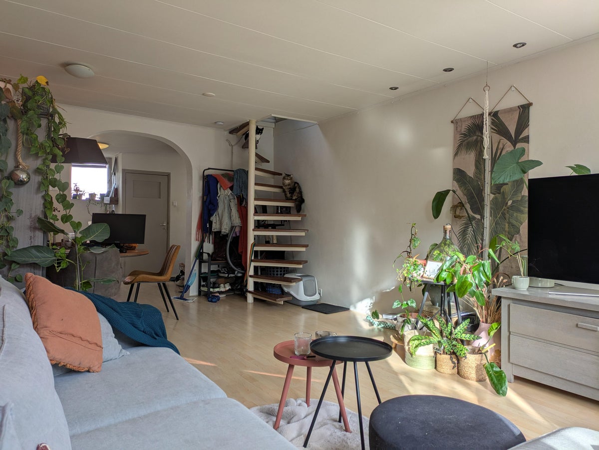 appartement Gedempte Nieuwesloot Alkmaar