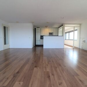 appartement Gedempte Zalmhaven Rotterdam