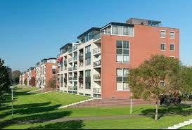 appartement Hamontstraat Amsterdam