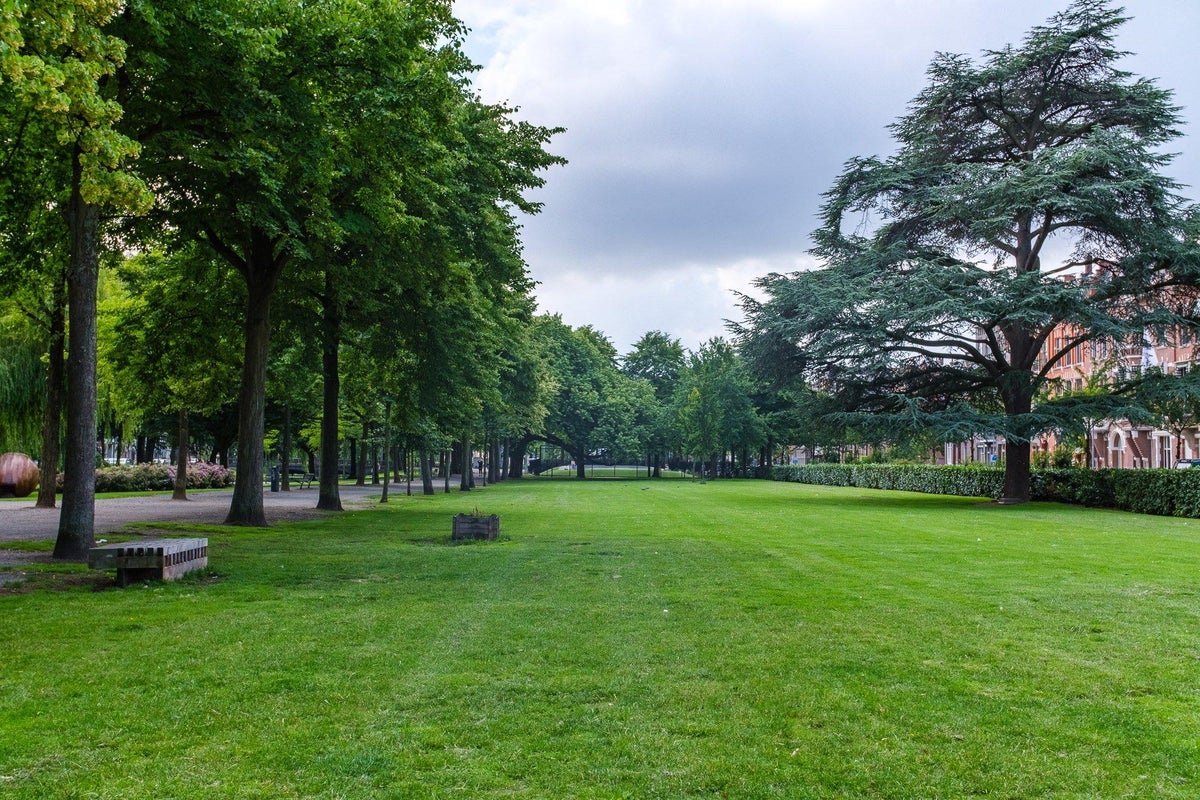 appartement Heemraadssingel Rotterdam - Afbeelding 5