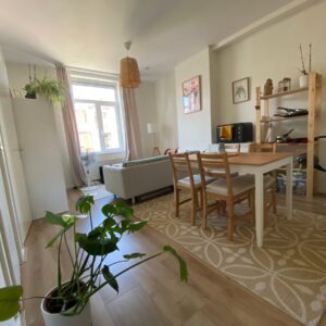 appartement Helmersstraat Den Haag