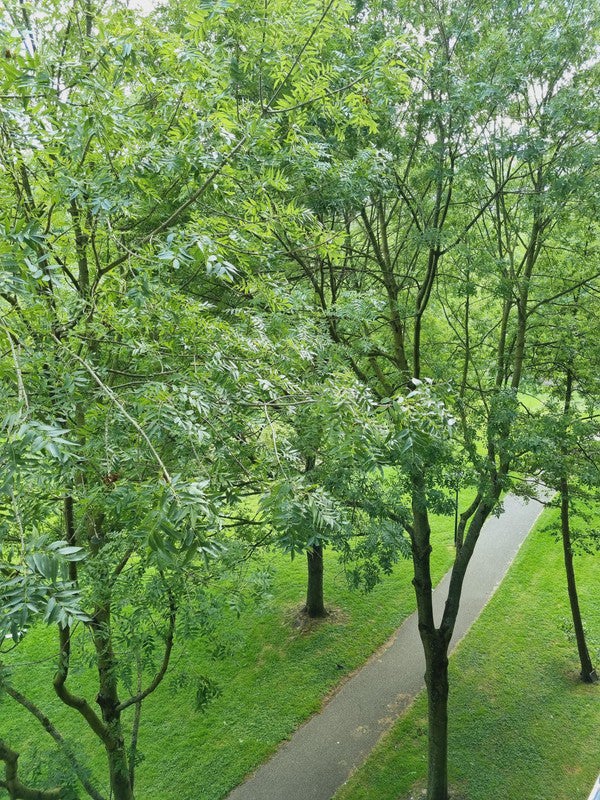 appartement Huigenbos Amsterdam - Afbeelding 3