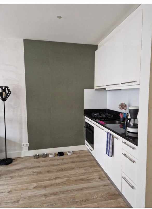 appartement Lange Koestraat Utrecht - Afbeelding 4