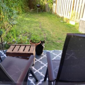 appartement Louis Elsevierstraat Leiden