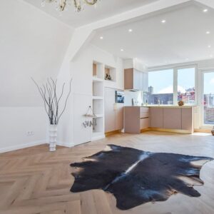 appartement Mariottestraat Den Haag