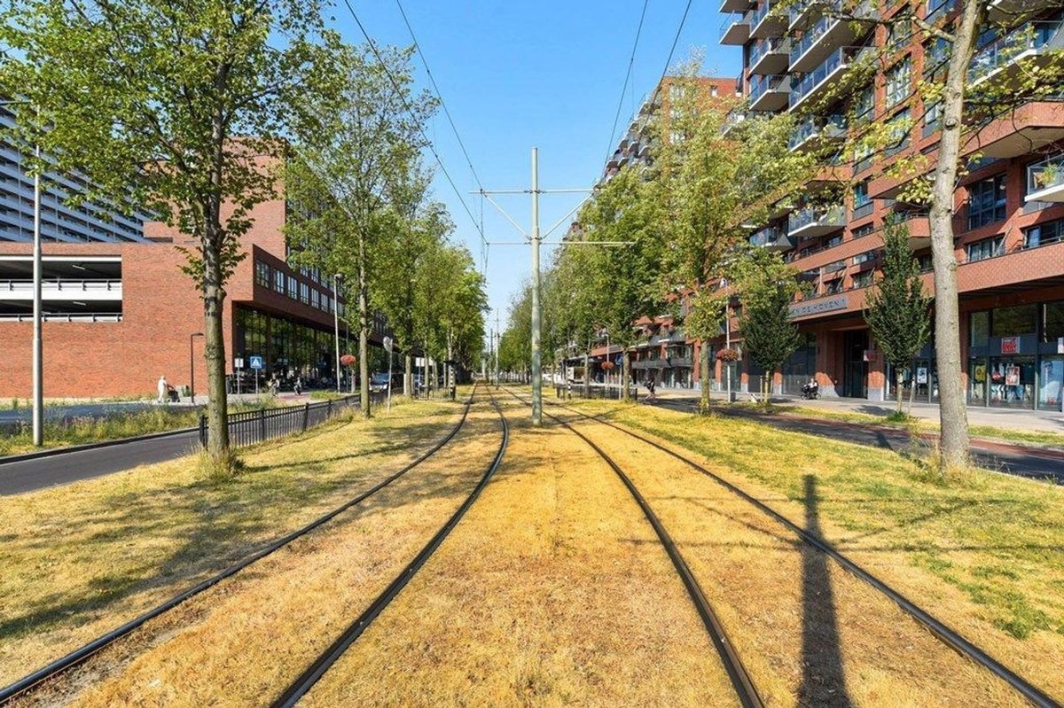 appartement Martinus Nijhofflaan Delft - Afbeelding 4