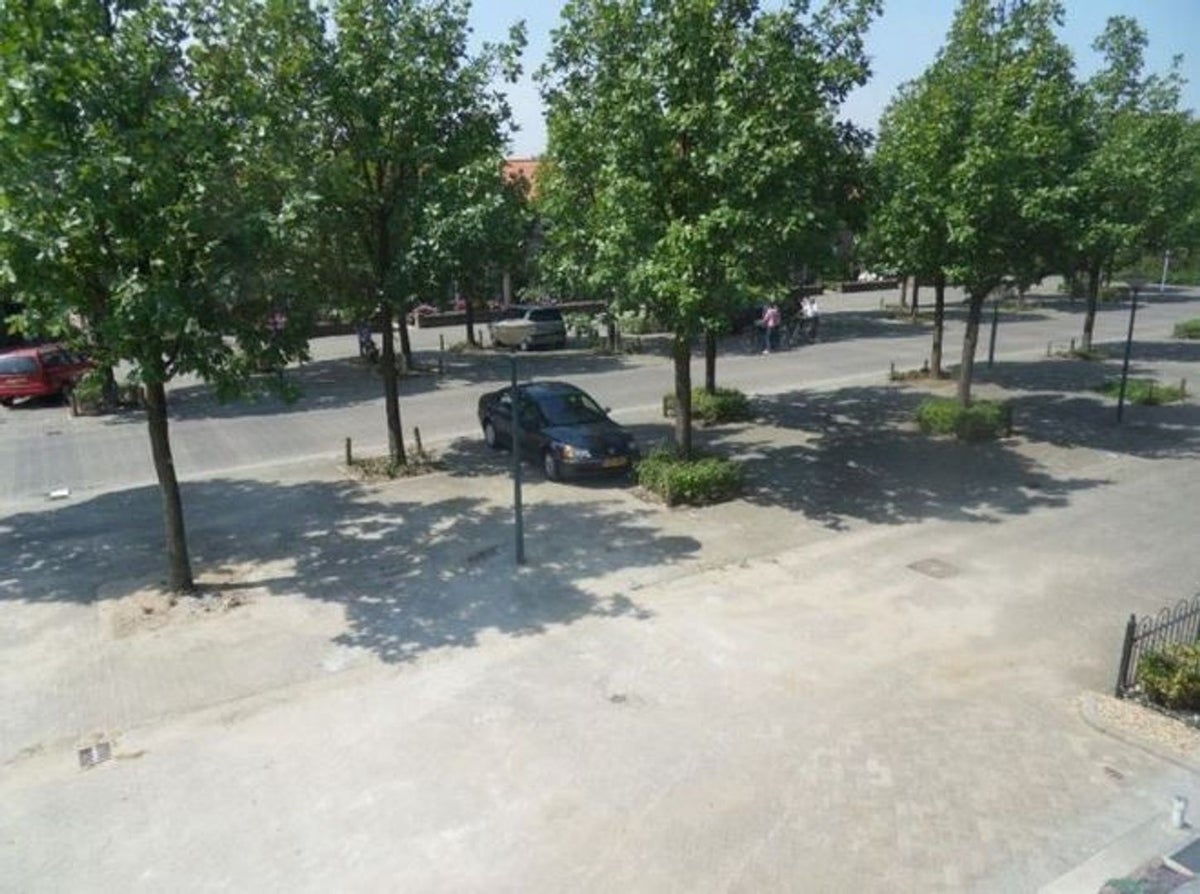 appartement Mgr.Borretweg Grave - Afbeelding 3