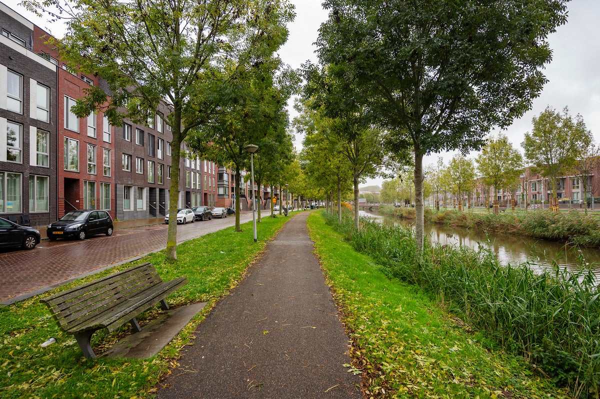 appartement N. Lansdorpstraat Amsterdam - Afbeelding 3