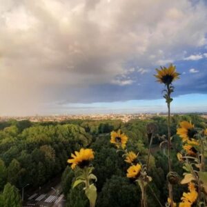 appartement Nachtwachtlaan Amsterdam