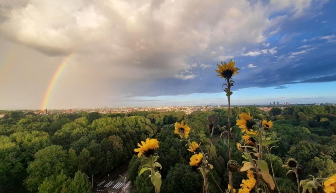 appartement Nachtwachtlaan Amsterdam