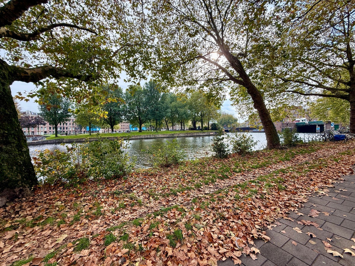 appartement Nassaukade Amsterdam - Afbeelding 3