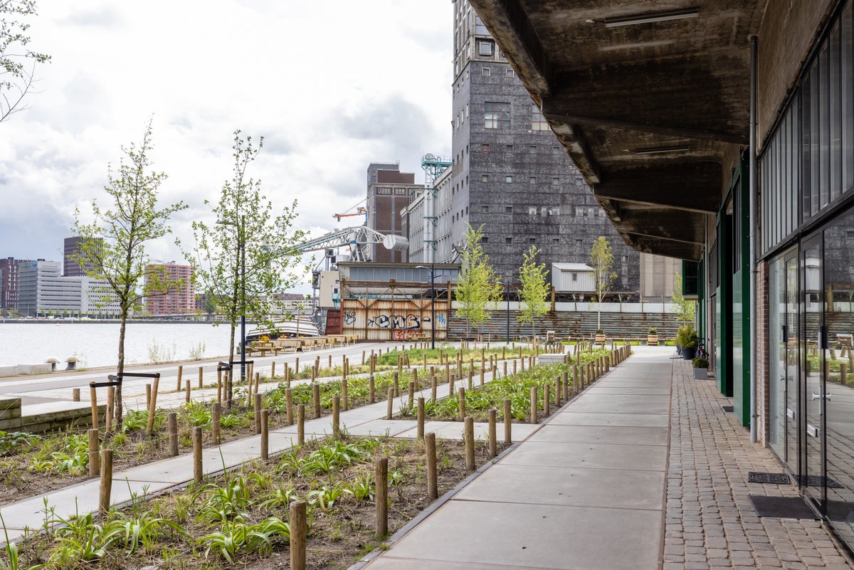 appartement Nico Koomanskade Rotterdam - Afbeelding 3