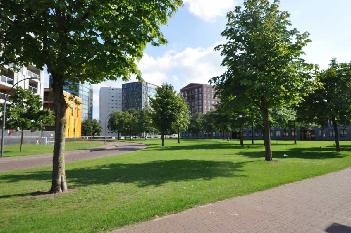 appartement Nonnenveld Breda - Afbeelding 4