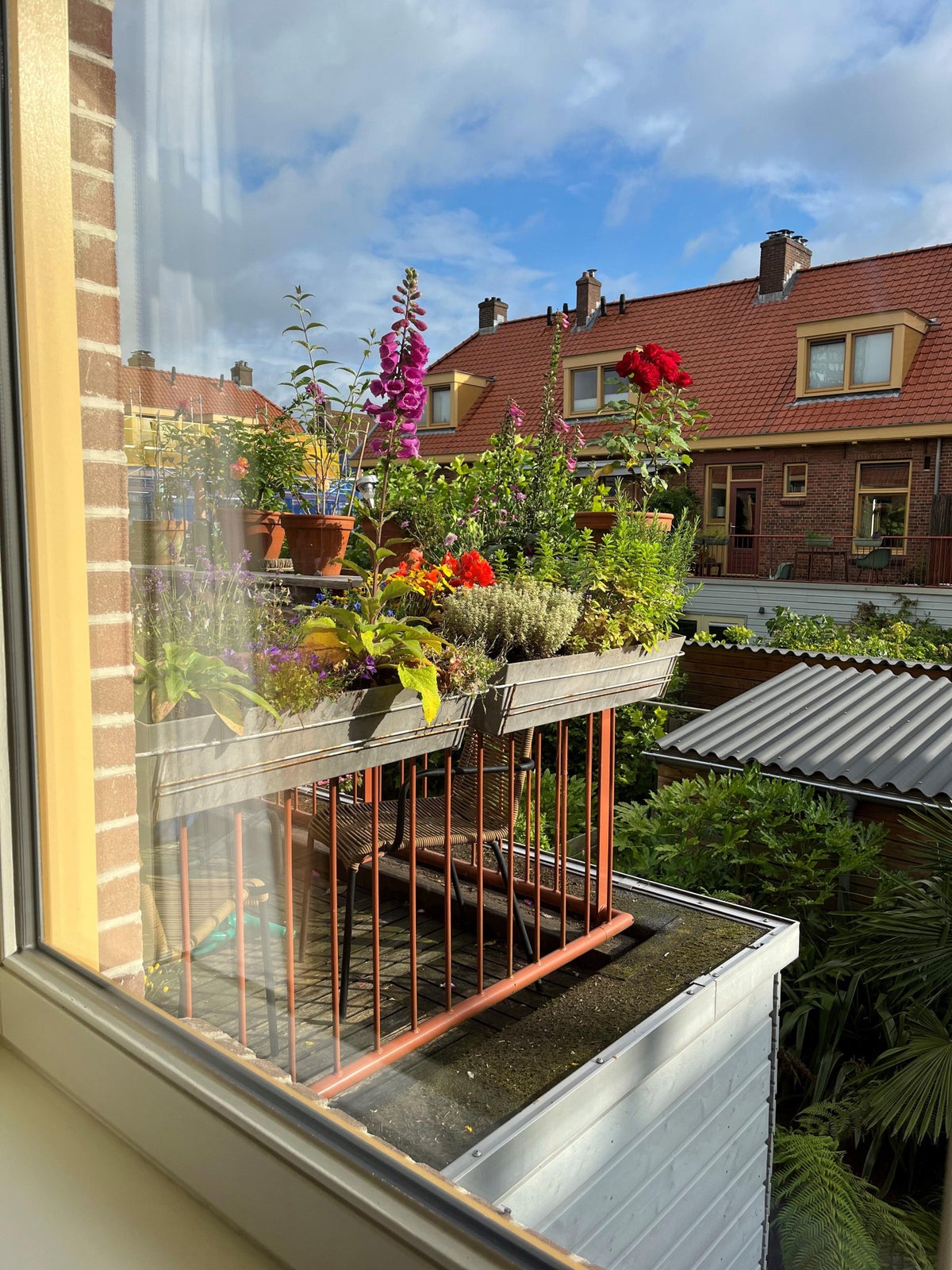 appartement Oleanderstraat Amsterdam - Afbeelding 3