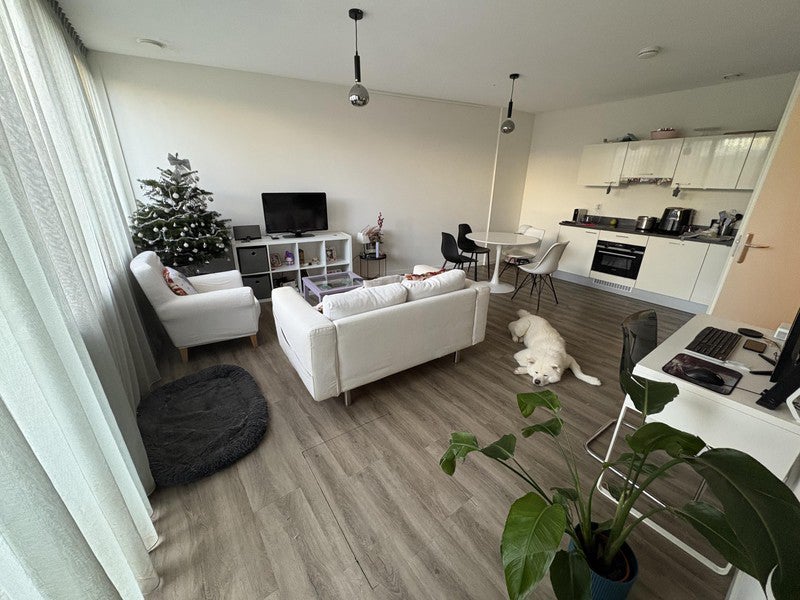 appartement Olmenlaan Bussum
