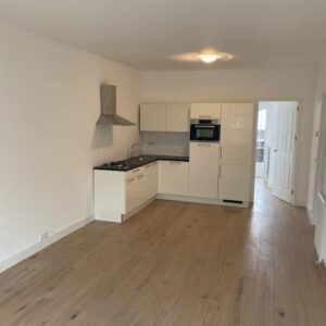 appartement Paets van Troostwijkstraat Den Haag