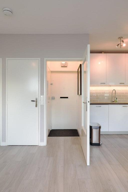 appartement Parnassusweg Amsterdam - Afbeelding 2