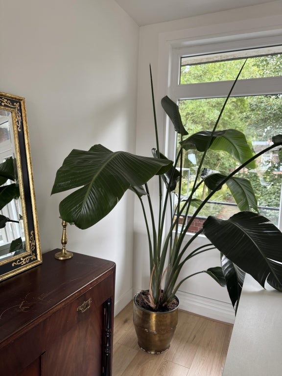 appartement Pasteursingel Rotterdam - Afbeelding 2