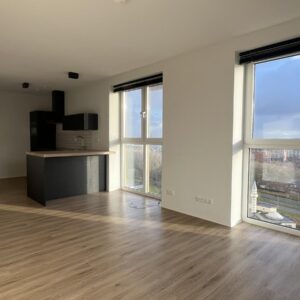 appartement Pierre van Hauwelaan Delft