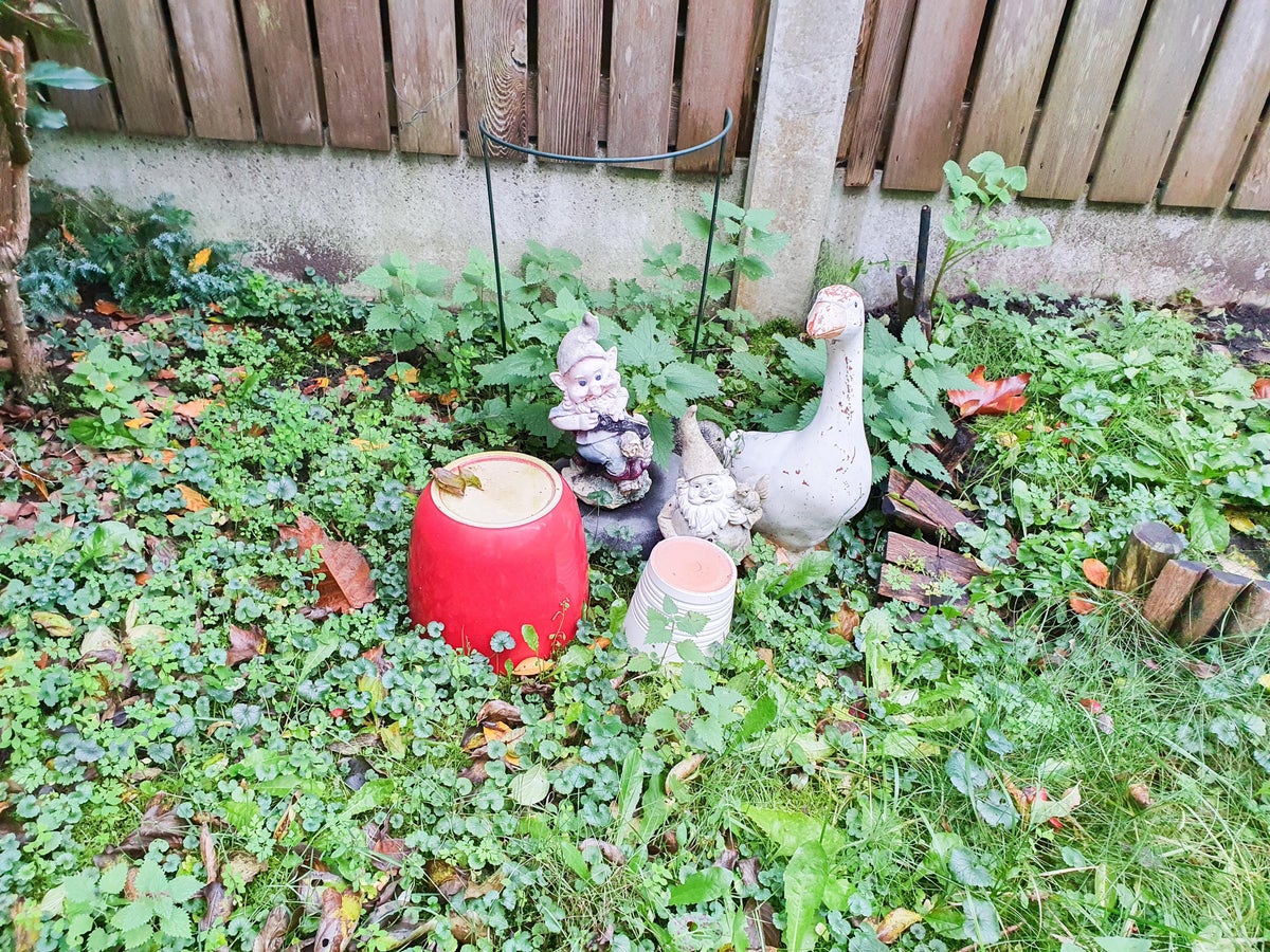 appartement Poolstraat Amsterdam - Afbeelding 2