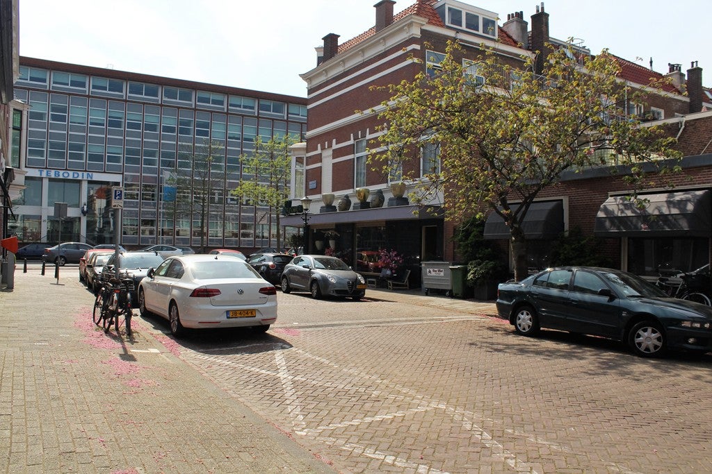 appartement Rijklof van Goensstraat Den Haag