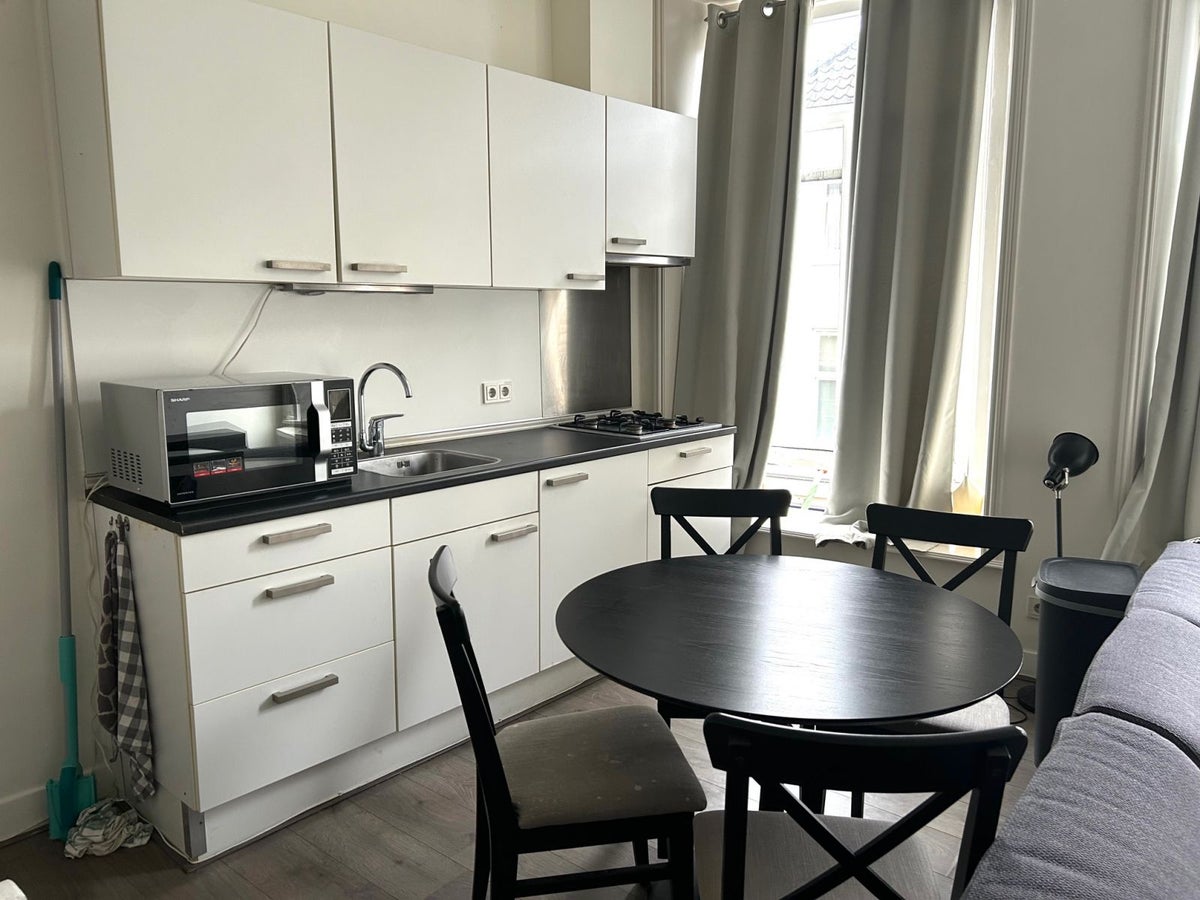 appartement Rodeleeuwsteeg Zwolle - Afbeelding 5