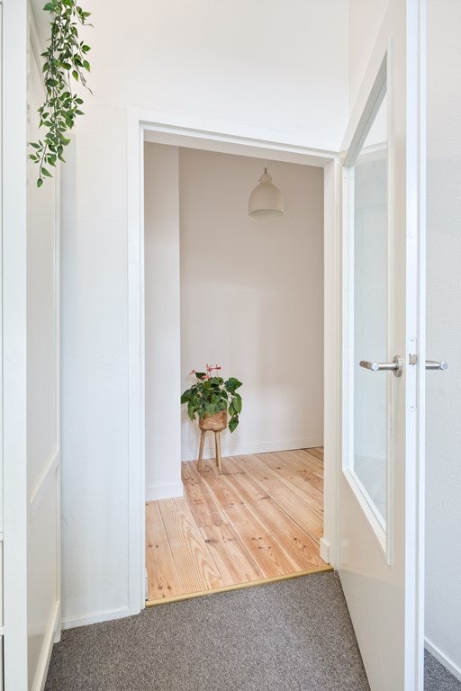 appartement Rusthoekstraat Den Haag - Afbeelding 3